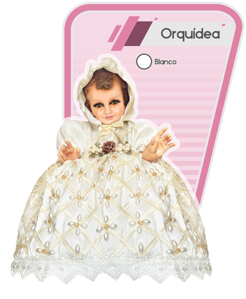 Orquidea