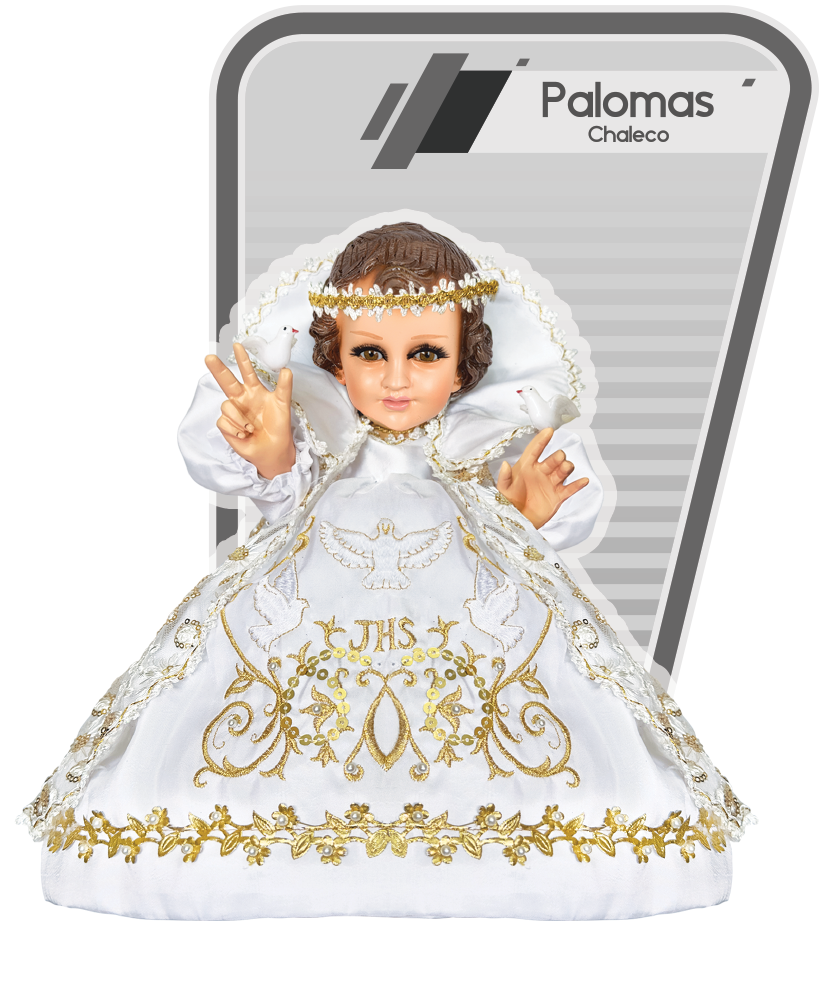 Palomas